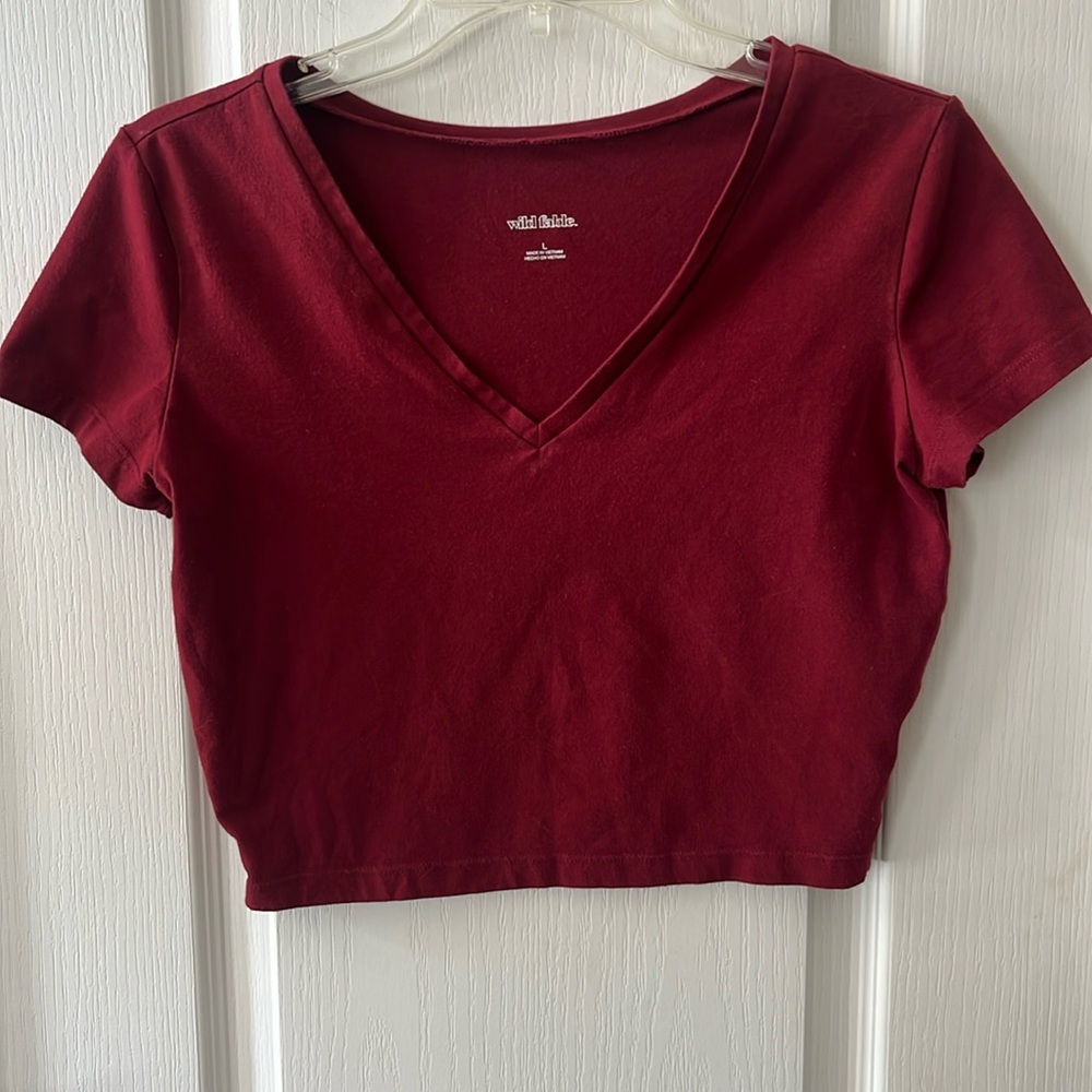 Wild Fable Women's Deep Red V-Neck Crop Top